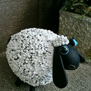 Meet your Posher, Cynthia